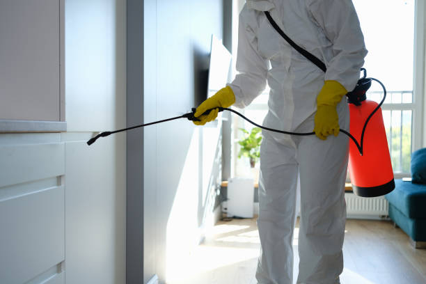 Best Professional Mold Removal  in Penn Estates, PA