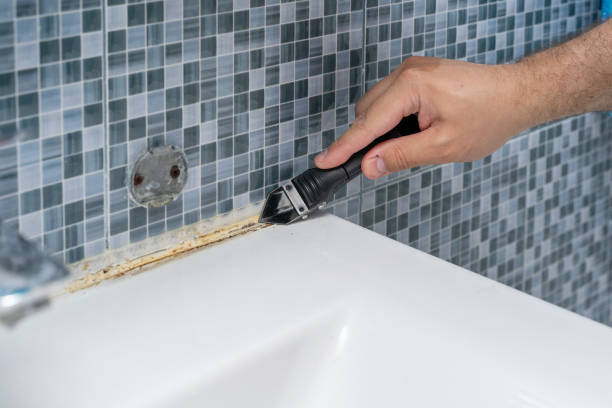 Best Residential Mold Removal  in Penn Estates, PA